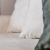 Ellan Torre 01 - Detalj