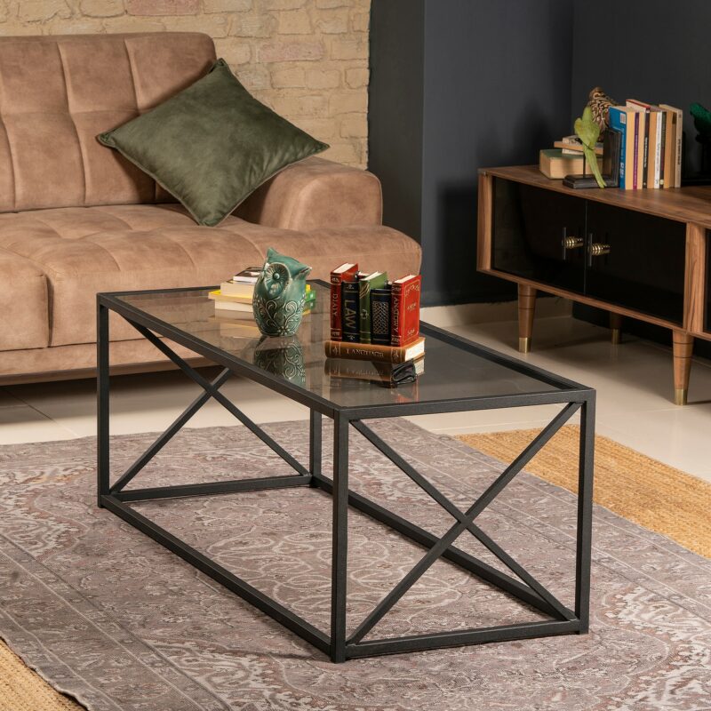 Roy soffbord - Rökfärgad glasskiva med matt, svart underrede - X-design