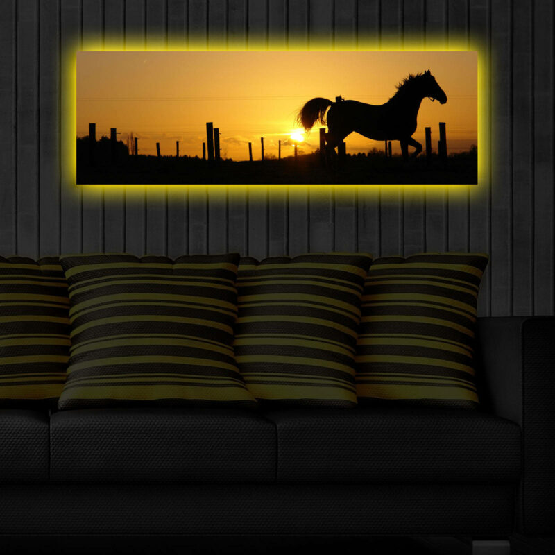 Hästens natur - Tavla med LED-belysning