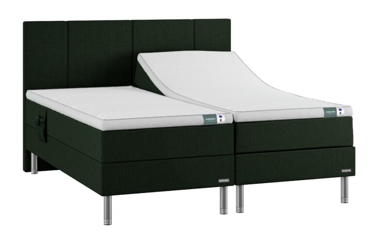 Temprakon Zone II ställbar säng, BoxElevation med Slide-In, Slideback - Grön, Saturn gavel, Aluminium-ben
